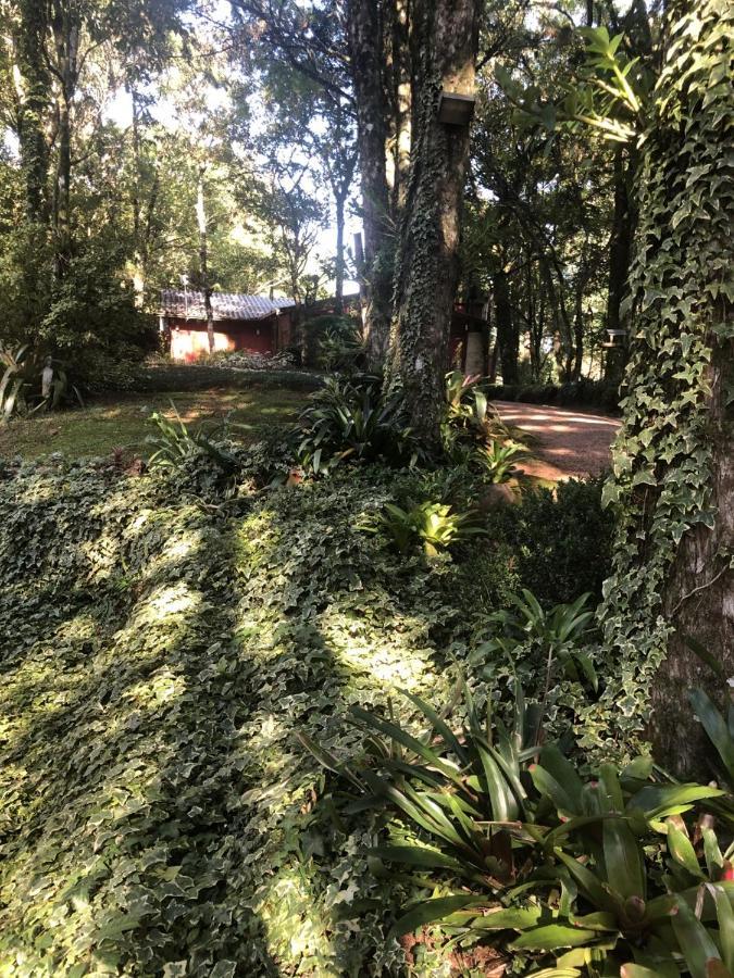 Refugio Da Natureza São Francisco de Paula Buitenkant foto