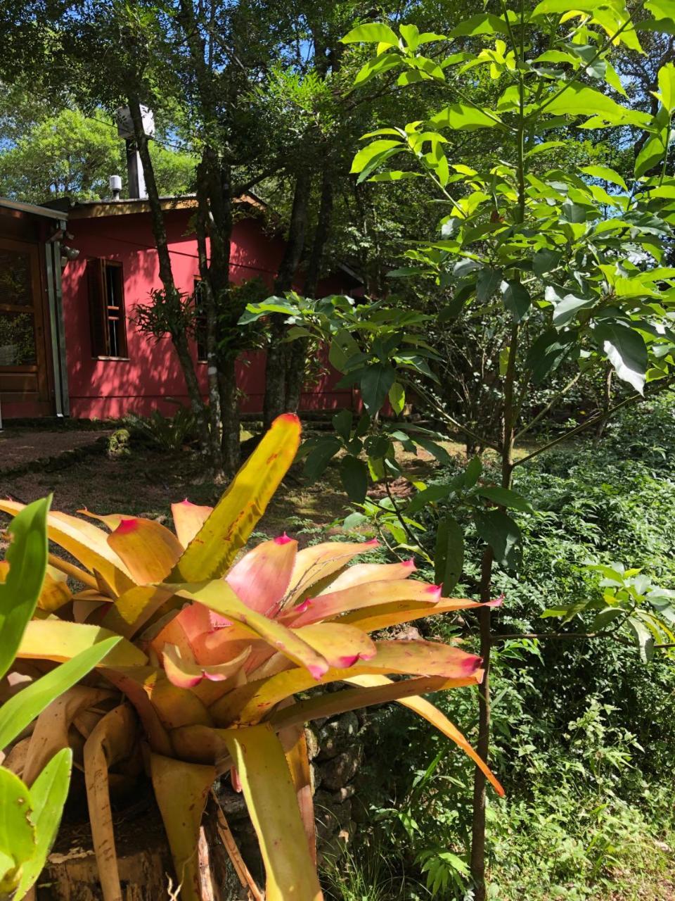 Refugio Da Natureza São Francisco de Paula Buitenkant foto