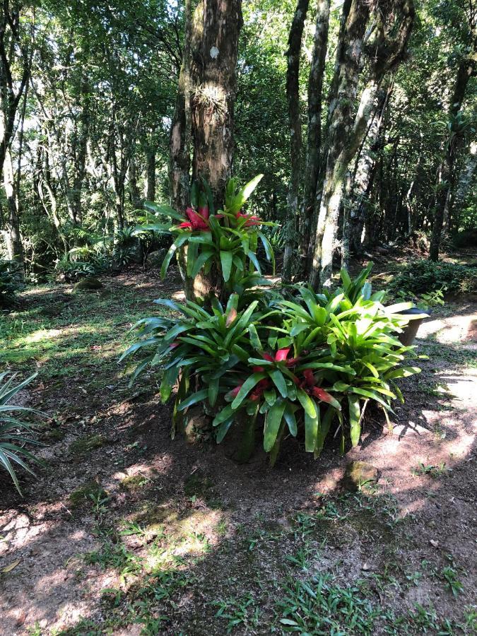 Refugio Da Natureza São Francisco de Paula Buitenkant foto